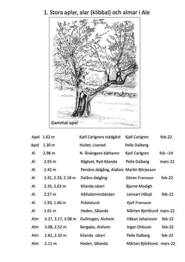 Björkärrs äng stora träd apel alm