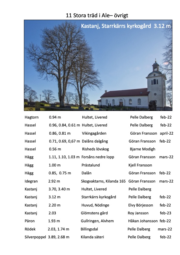 Björkärrs äng stora träd