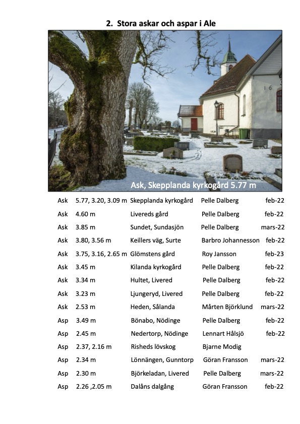 Björkärrs äng stora träd ask asp