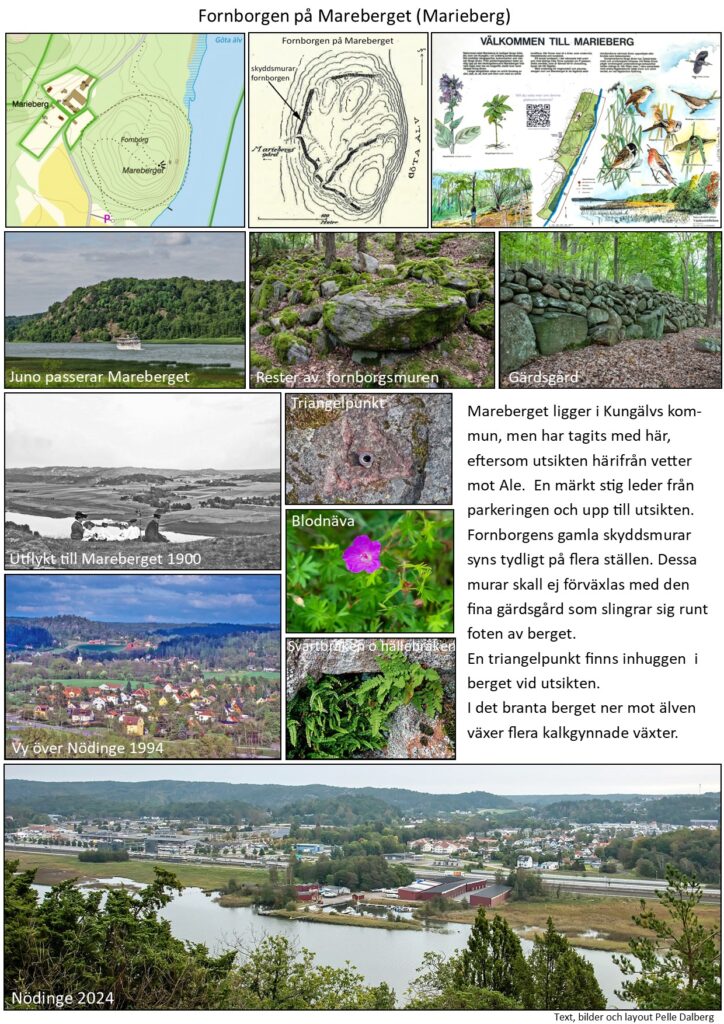 3. fornborgar i ale marieberg