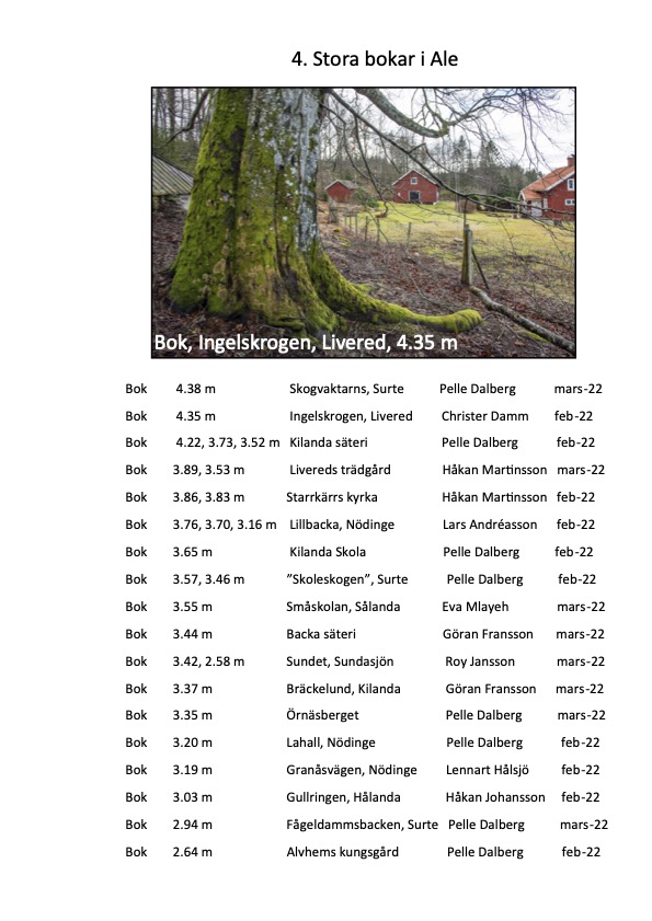 Björkärrs äng stora trädbokar