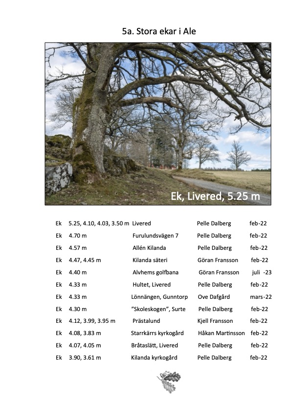 Björkärrs äng stora träd ekar