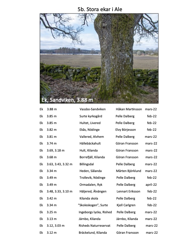 Björkärrs äng stora träd ale ekar