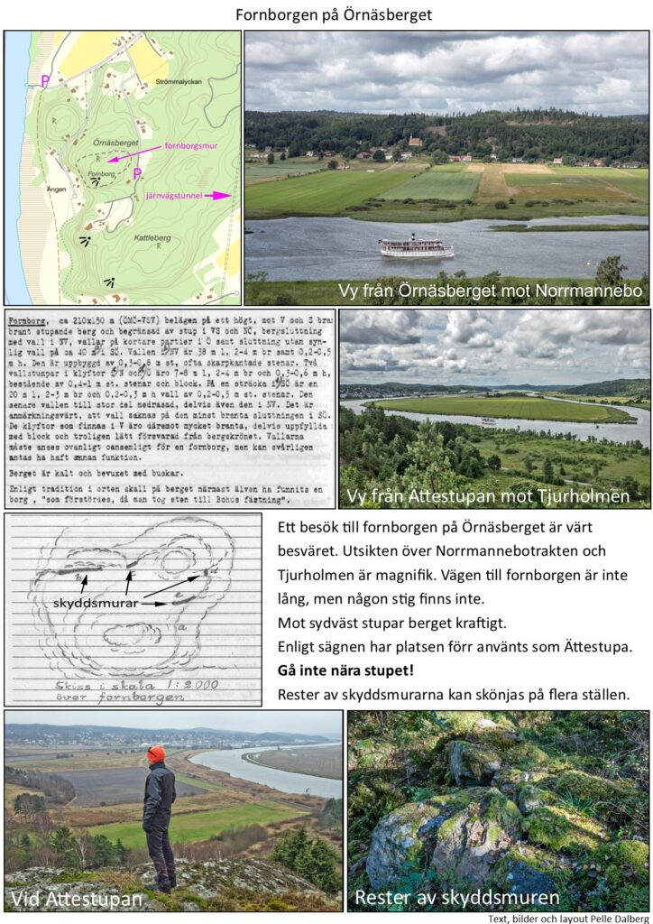 5. fornborgar i ale Örnäsberget