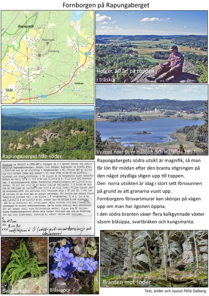 7. fornborgar i ale rapungaberget