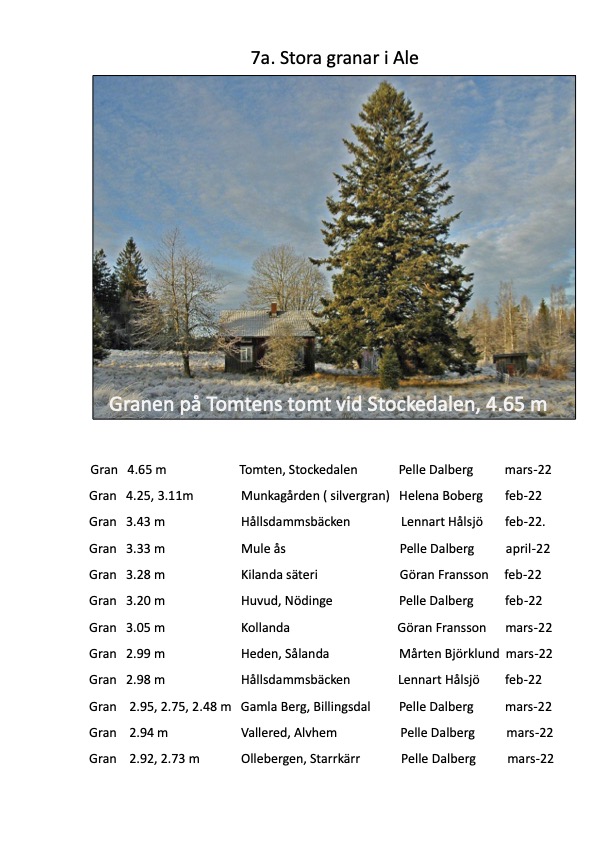 Björkärrs äng stora trädgranar