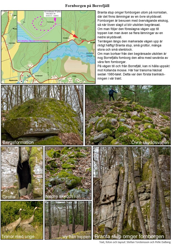 8. fornborgen på borrefjäll senaste 27 mars