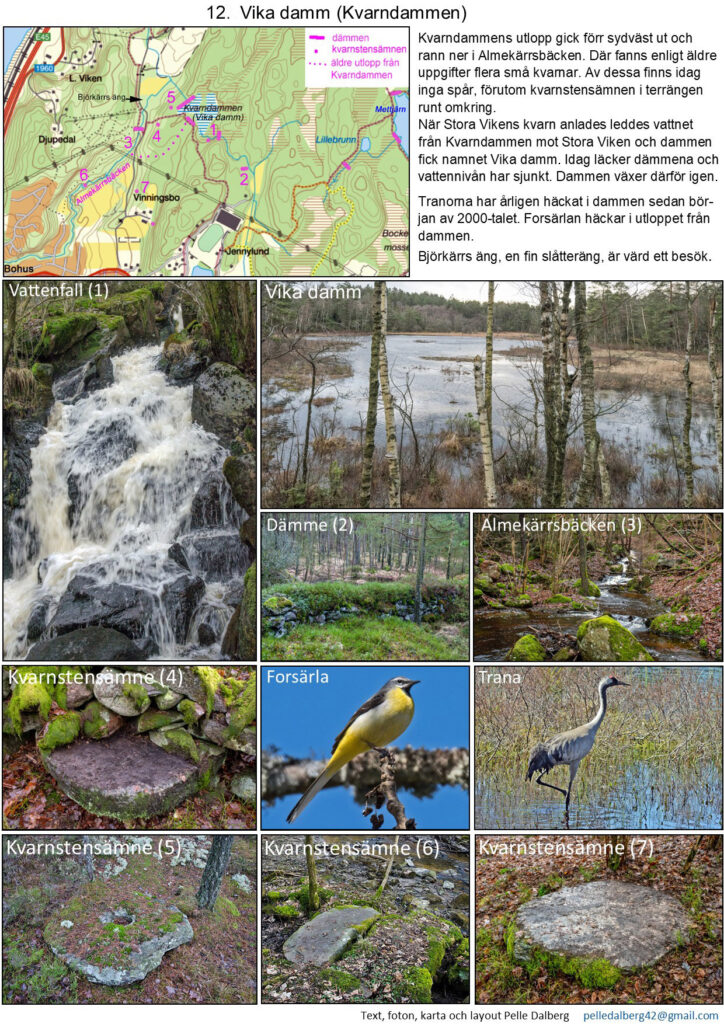 12 vika damm