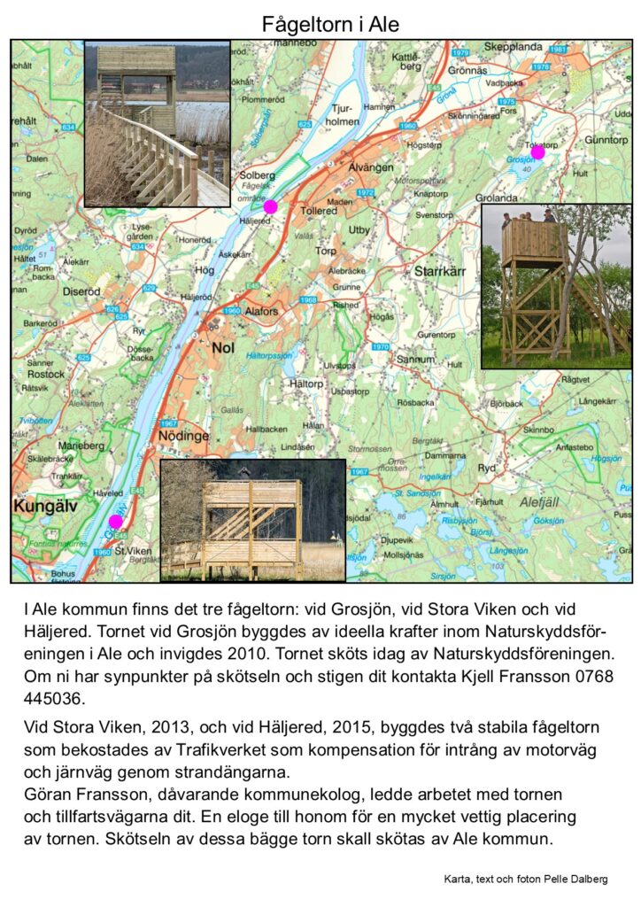 a fågeltorn i ale sid 1