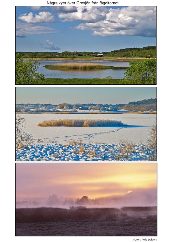 d fågeltornet grosjön 3