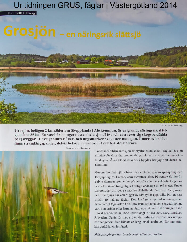 e ur grus, fåglar i västergötland 2014 1