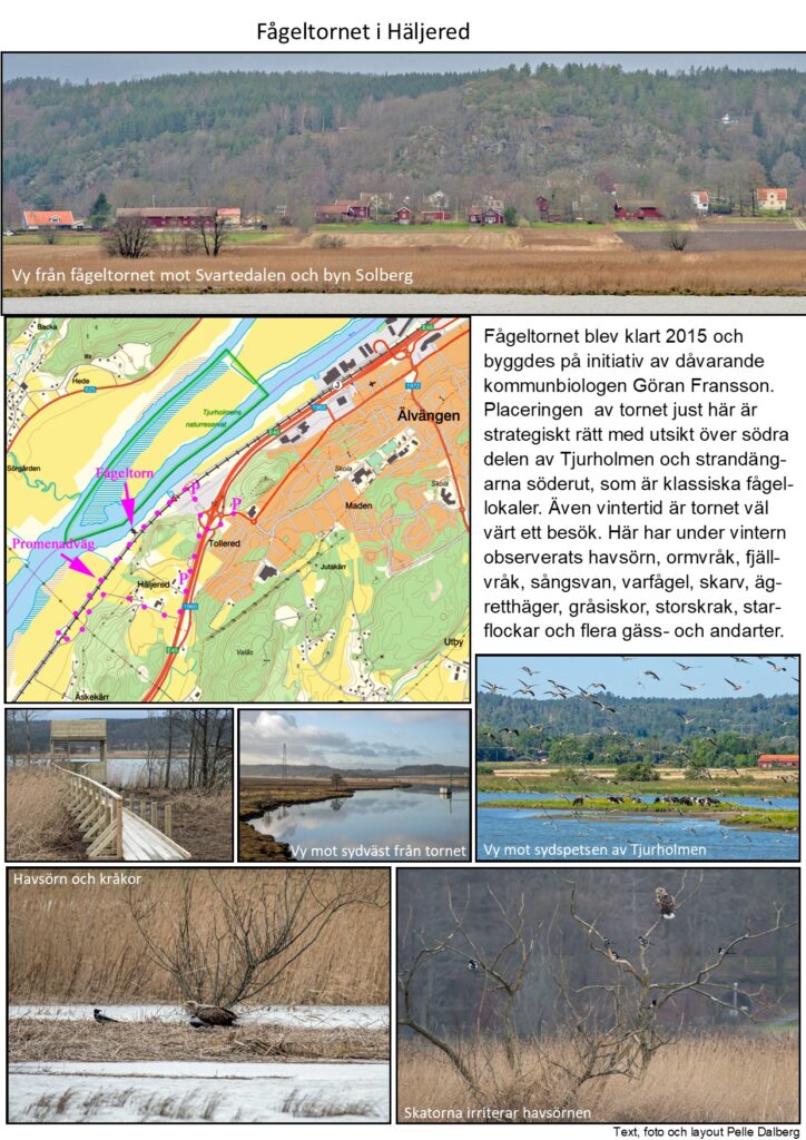 o fågeltornet häljered